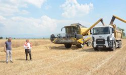 Torbalı'da buğday hasadı! İhtiyaç sahiplerine dağıtılacak