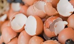 Uzmanlar uyarıyor! Yumurta kabuğunu sakın çöpe atmayın, faydaları inanılmaz!