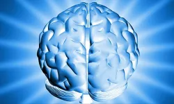 Dünyanın en kısa IQ testi