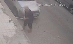 İzmir'de farenin ısırdığı kadın hastanelik oldu!