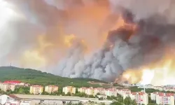 Yangın sürüyor | Valilikten uyarı: Çanakkale- İzmir yolunu kullanmayın!