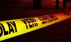 Tüfekle oyun ölüm getirdi: 9 yaşındaki çocuk, 5 yaşındaki kızı vurdu