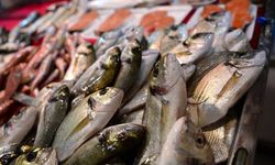 Balık sezonu açıldı: İzmir'de balık fiyatları ne kadar?