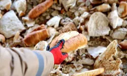 Türkiye'de 1 yılda israf edilen ekmekle 500 okul yapılabiliyor