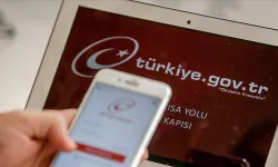 Kullanıma açıldı: e-Devlet'te yeni dönem!