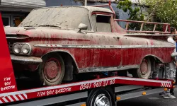 Örümcekler yuva yapmıştı: 1959 model otomobil 15 yıl sonra gün yüzüne çıktı