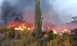 Kastamonu'da büyük felaket! Yangında 10 ev küle döndü