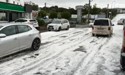 Bodrum'da kimyasal alarmı: Kara yolu yağmurun ardından köpürdü