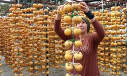 Tam bir vitamin deposu: Denizli'de üretiliyor Almanya, İngiltere, İtalya, Rusya'ya gönderiliyor