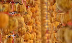 Faydaları saymakla bitmiyor: Yaş hali 20 TL kurutulunca 200 TL