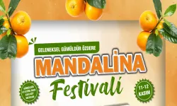 İzmir'de Mandalina Festivali zamanı: Konserler, yarışmalar, gösteriler...