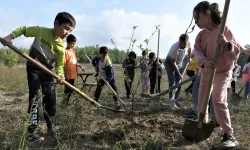 Bornova eski günlerine dönecek: Nar ve ayva bahçeleri canlanacak