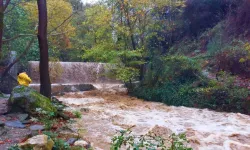 Gürül gürül akıyor: Yağmur sonrası Kurşunlu Şelalesi görenleri büyüledi