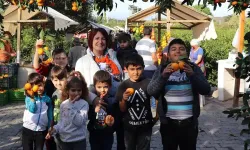 Karaburun'da turuncu şenlik zamanı