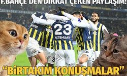 Fenerbahçe'den Konyaspor maçı sonrası dikkat çeken kedili paylaşım!