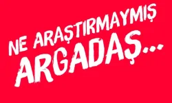 Ateş İlyas Başsoy yazdı: Ne araştırmaymış argadaş