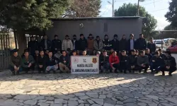 Manisa'da kaçak çalıştırılan 34 Afgan yakalandı