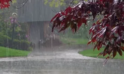Şakır şakır yağmur yağacak: Meteoroloji 11 ili uyardı
