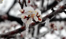 Muğlalılar dikkat! Meteoroloji uyardı