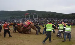 Torbalı'da deve güreşi festivali sona erdi