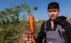 Bir zamanlar çöplüktü: Şimdi İzmirli öğrenciler tarım yapıyor
