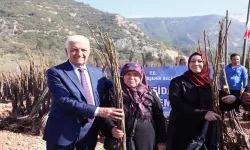 Muğla Büyükşehir'den çiftçiye destek: 53 bin meyve fidanı