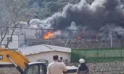 Muğla'da korkutan yangın: Kontrol altına alındı