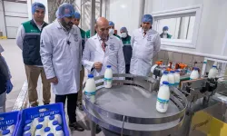 İzmir Büyükşehir süt alım fiyatını açıkladı: Üreticinin yüzü gülecek