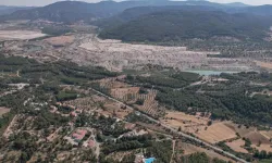 Erdoğan imzaladı: Akbelen Ormanı çevresindeki tarım arazisi maden için kamulaştırıldı