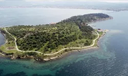 AKP İzmir adayı Dağ'ın Karantina Adası projesine tepki: Bu değerler ranta kurban edilmemeli