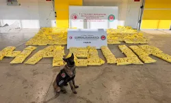 Habur'da tek seferde 850 kg eroin yakalandı: Piyasa değeri 1.3 Milyar TL