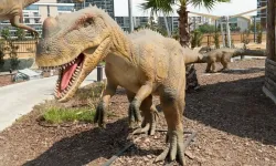 İzmir'in Jurassic Park'ı: Karşıyaka Evrensel Çocuk Merkezi