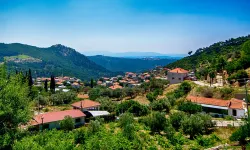 İzmir'in şirin köyü: Üzümü ile meşhur Kavacık