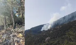 Kazdağları’nda korkutan yangın: Zeytinlikte çıktı, ormana sıçradı