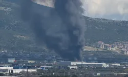 İzmir Kemalpaşa'da yangın: İlk açıklama geldi