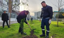 Karşıyaka Belediyesi'nin 5 yılı yeşillere büründü