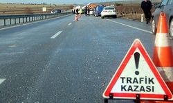 Manisa'da trafik kazası: Yola çıkan geyiğe otomobil çarptı