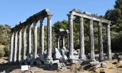 Her köşesi tarih kokuyor: Euromos Antik Kenti ve Zeus Tapınağı nerede? Nasıl gidilir?