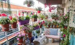 22. kez düzenlenecek: Karşıyaka en güzel balkon bahçesini seçiyor