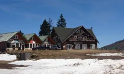 Aç kalan ayılar kayak merkezine saldırdı: Yapılar harabeye döndü