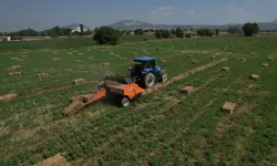 Muğla Büyükşehir'den ilk hasat: Kaba yem üreticilere dağıtıldı