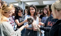 İzmir'de sokak hayvanları için farkındalık etkinliği