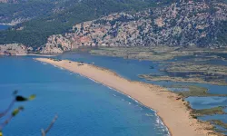 Caretta carettalara yuva oluyor: İztuzu Plajı nerededir? Nasıl gidilir?
