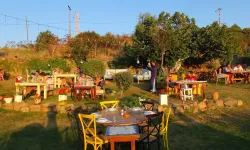 Yemek eleştirmeni Vedat Milor'un Muğla'da önerdiği restoranlar