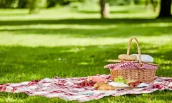 Havalar ısındı: İzmir'de piknik yapılacak yerler
