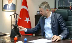 Başkan Duman'ın makamı artık iki kişilik: Kedi Üzüm, belediyenin maskotu oldu