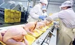 Beyaz et üreticilerine ceza yağdı: 4 üretici 1,2 milyar lira ödeyecek