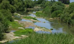 Ege'nin en büyük nehriydi: Suya hasret kaldı