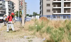 Çiğli'de temizlik harekatı: Önceliğimiz temiz bir kent