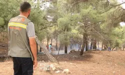 Piknikçilerin yaktığı ateş 10 dönüm ormanlık alanı kül etti